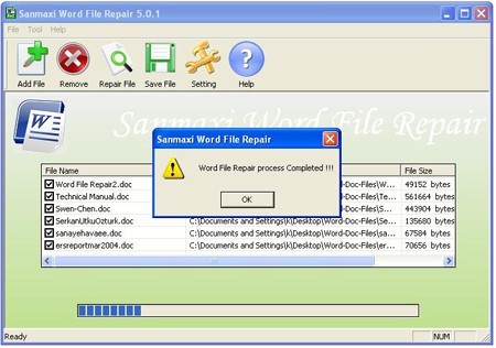 Word File Restore Software