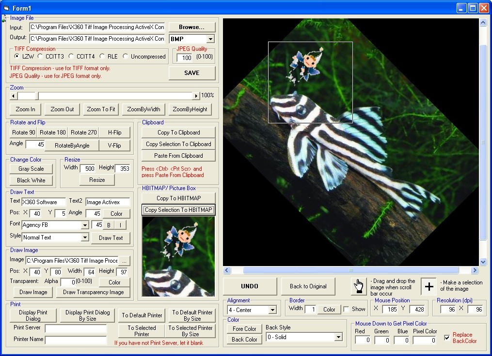X360 Image Processing ActiveX OCX (Team Developer)