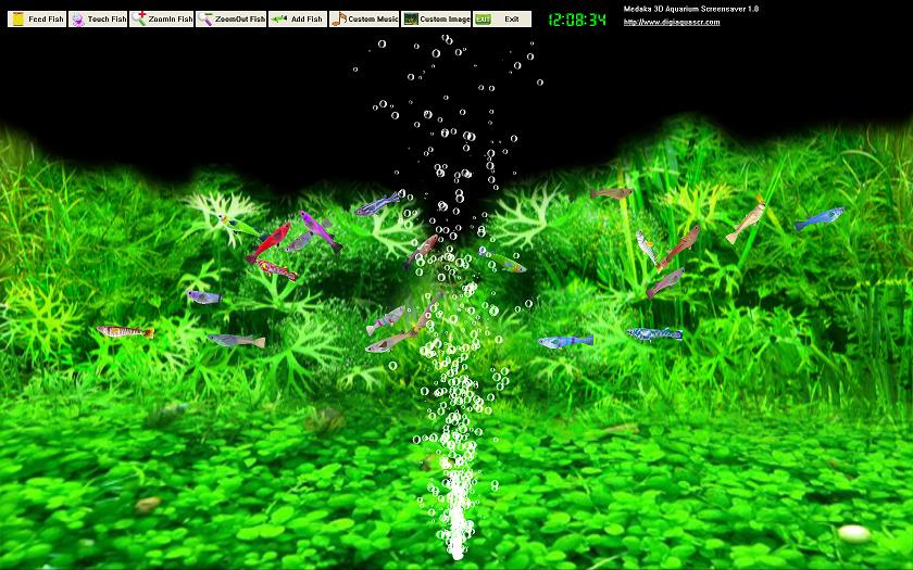 Medaka 3D Aquarium Screensaver