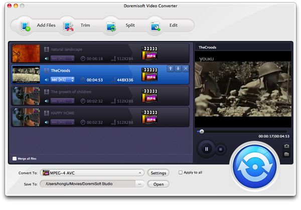 Doremisoft XAVC Video Converter
