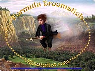 Formula Broomstick