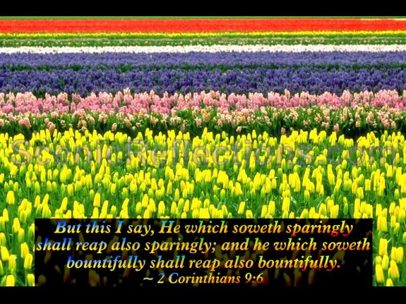 Spring (with Bible Verses) Screensaver