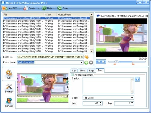 FLV to Video Converter Pro 2