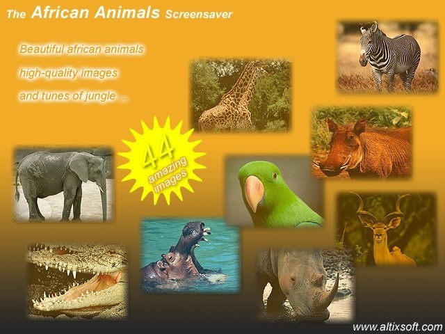 Animals from Africa Screensaver