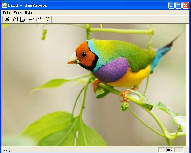 Easy Image Viewer