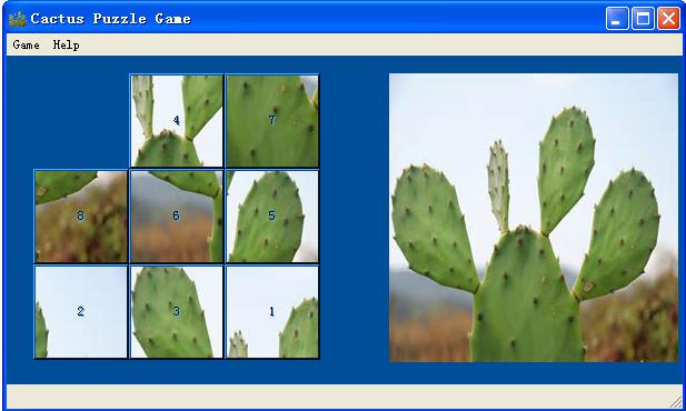 Cactus Puzzle Game