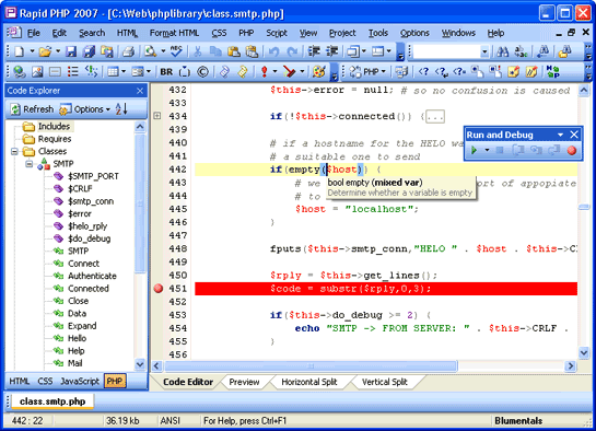 Rapid PHP Editor 2010