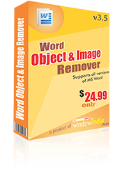 Word Object and Image Remover