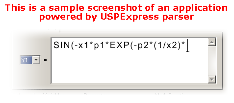 USPExpress Math Parser