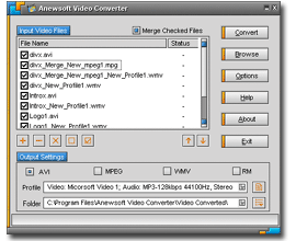 Anewsoft Video Converter