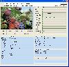 GOGO Exif Image Viewer ActiveX OCX (Twice Developer)