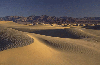 A Desert Ocean